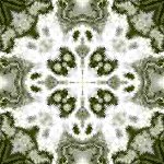 Background jpg 2 width:150 Pixels Height:150 Pixels