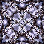 Background jpg 4 width:150 Pixels Height:150 Pixels