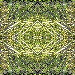 Background jpg 11 width:150 Pixels Height:150 Pixels