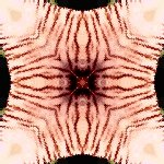 Background jpg 2 width:150 Pixels Height:150 Pixels